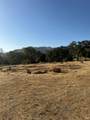 962 Sanitarium Road - Photo 5