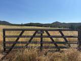 22629 Jerusalem Grade Road - Photo 1