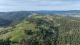 38555 Hauser Bridge Road - Photo 31