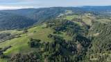 38555 Hauser Bridge Road - Photo 32