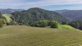 38555 Hauser Bridge Road - Photo 40