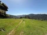38555 Hauser Bridge Road - Photo 43