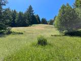 38555 Hauser Bridge Road - Photo 45