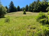 38555 Hauser Bridge Road - Photo 47