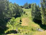 38555 Hauser Bridge Road - Photo 48
