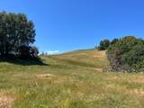 38555 Hauser Bridge Road - Photo 49