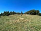 38555 Hauser Bridge Road - Photo 51