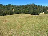 38555 Hauser Bridge Road - Photo 52