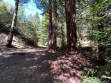 38555 Hauser Bridge Road - Photo 79