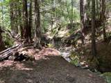 38555 Hauser Bridge Road - Photo 81