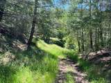 38555 Hauser Bridge Road - Photo 82
