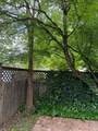 530 Stephenson Street - Photo 5