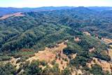 25845 Dutcher Creek Road - Photo 33