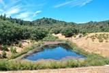 25845 Dutcher Creek Road - Photo 7