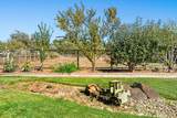 5111 Todd Road - Photo 61