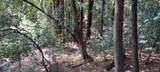 18355 Neeley Road - Photo 3