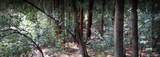 18355 Neeley Road - Photo 4