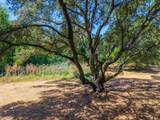 0 Silverado Trail - Photo 25
