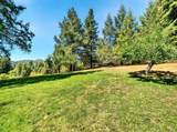 13353 Pocket Canyon Road - Photo 11