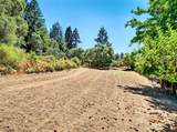 13353 Pocket Canyon Road - Photo 8