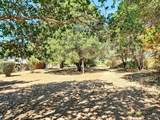 13353 Pocket Canyon Road - Photo 9