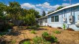 317 Grape Street - Photo 20