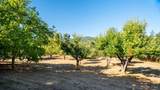 28670 Highway 128 - Photo 29