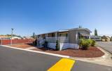 55 Lemon Tree Circle - Photo 3