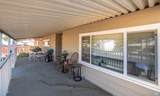 55 Lemon Tree Circle - Photo 7