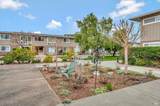 1064 Los Gamos Road - Photo 4