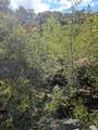 59202 George Washington Rock Road - Photo 11