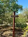 1676 Chiquita Road - Photo 39