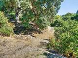 5200 Petaluma Hill Road - Photo 38