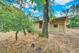 677 Petaluma Avenue - Photo 53