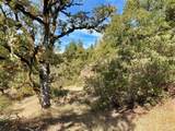 18225 Scenic Drive - Photo 29