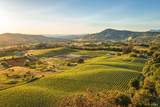 5561 Sonoma Mountain Road - Photo 1