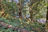 14619 Eagle Nest Lane - Photo 47