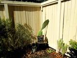 2802 Woodlake Drive - Photo 3