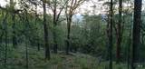 0 Beegum Gorge Road - Photo 19