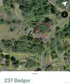 237 Badger - Photo 2