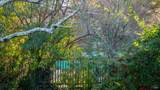1411 Casa Buena Drive - Photo 32