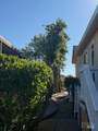 69 Guadajara Street - Photo 20