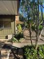 69 Guadajara Street - Photo 6