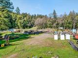 15785 Pole Mountain Road - Photo 11