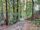 15785 Pole Mountain Road - Photo 16