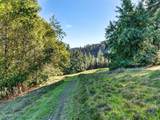 15785 Pole Mountain Road - Photo 17