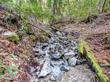 15785 Pole Mountain Road - Photo 22