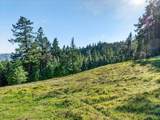 15785 Pole Mountain Road - Photo 23