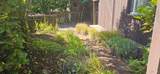 523 Center Street - Photo 8