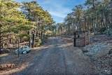 6775 County Road 110 - Photo 1
